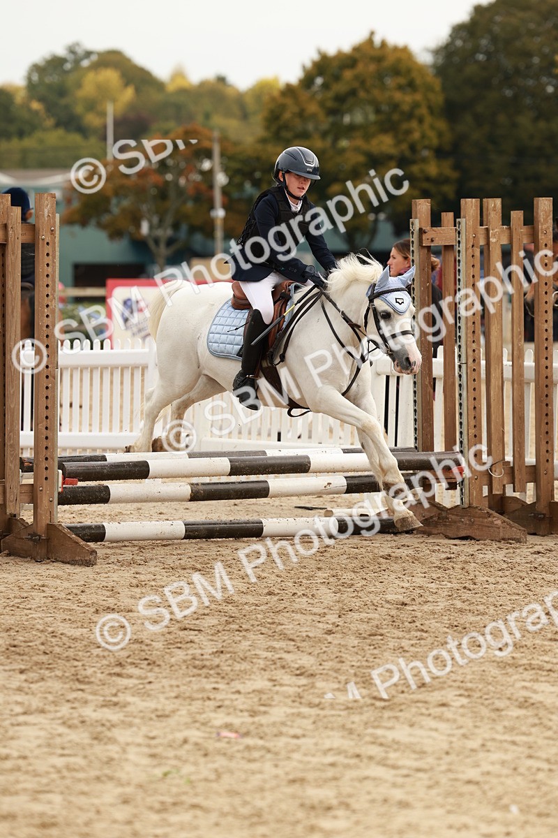 SBM_57771 - J11 - Junior Pony 50cm Championship