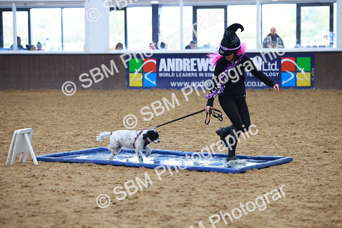 SBM_001578 - Class 3 - Horse & Hound (60cm)