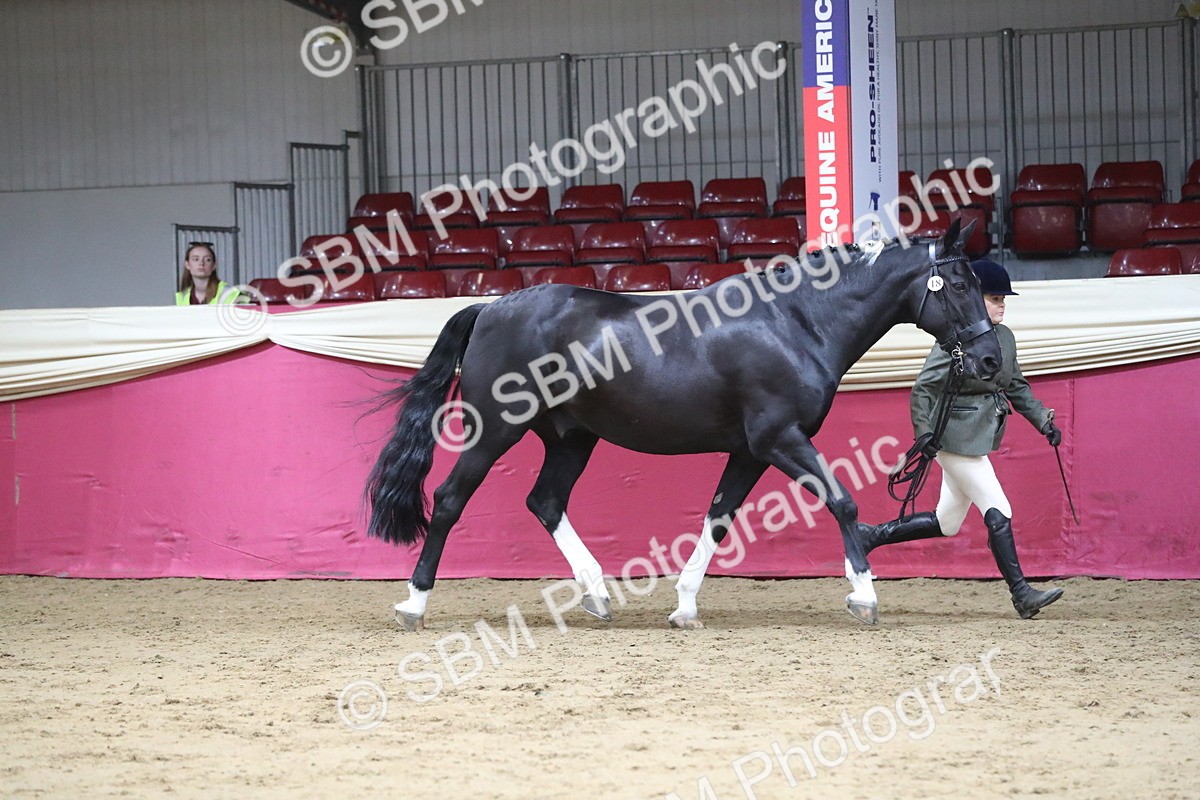 SBM_06375 - Class 9R Regional- IH Pre Vet