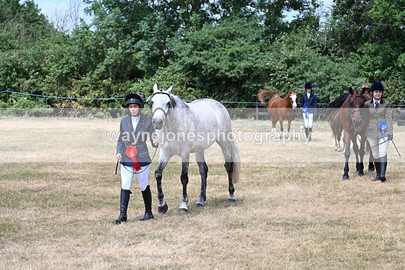 WJ7_2072 - Prettiest Mare Champs