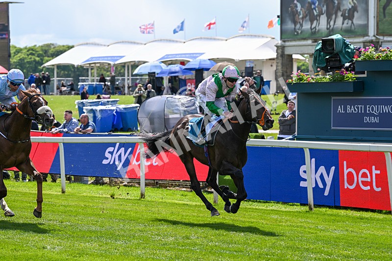 140526-Race 1-Persian Spring-4367 - Race 1 1.45pm Sky Bet ebfstallions.com Novice Stakes