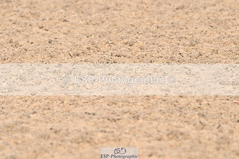 240509A-093119-00580 - Cls 8 Foxhunter