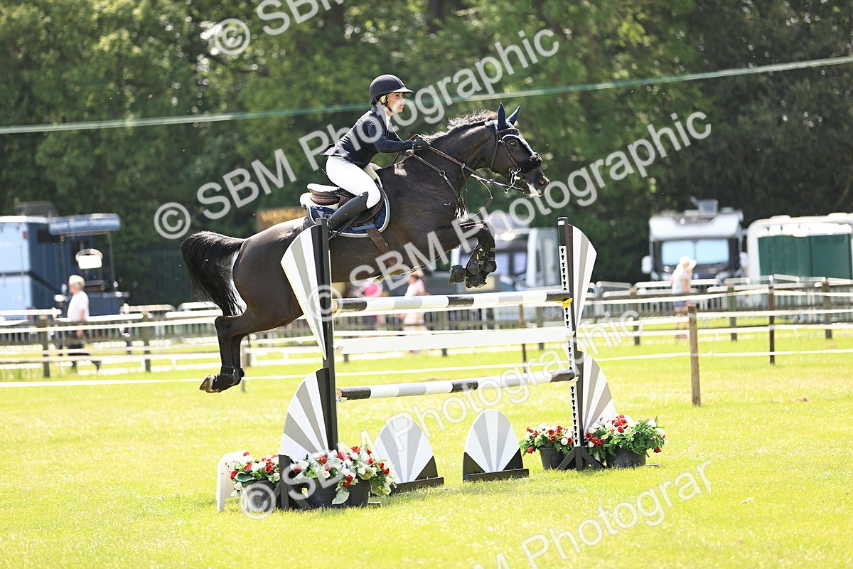 SBM_03971 - Class 201 - British Horse Feedds Speedi Beet HOYS Grade C