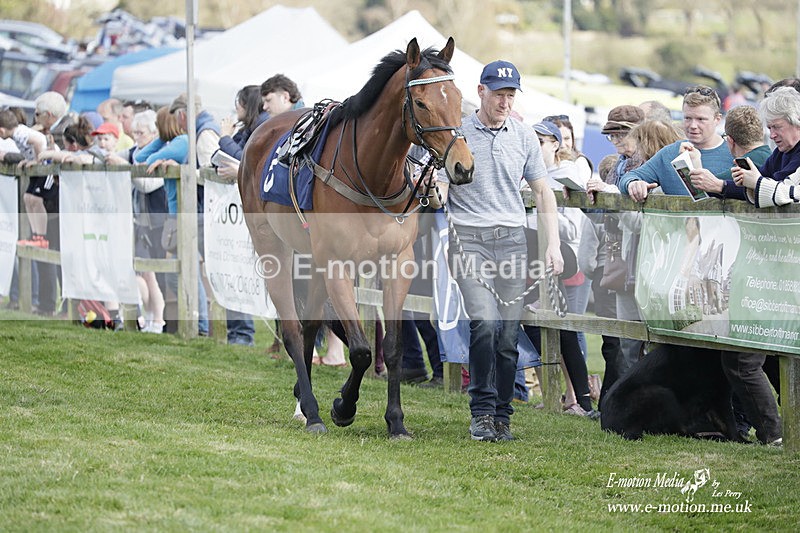 PtP 080423 445 - Dingley Races The Woodland Pytchley Hunt PtP 08/04/23