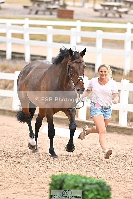 250716-143938-01271 - Trot Up 2.30 to 3.30