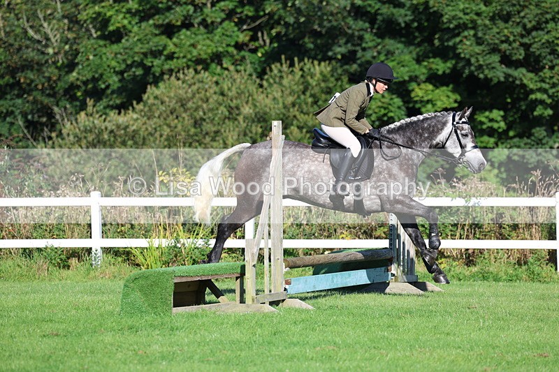 3E7A7535 - Class 1: Novice Working Hunter Pony