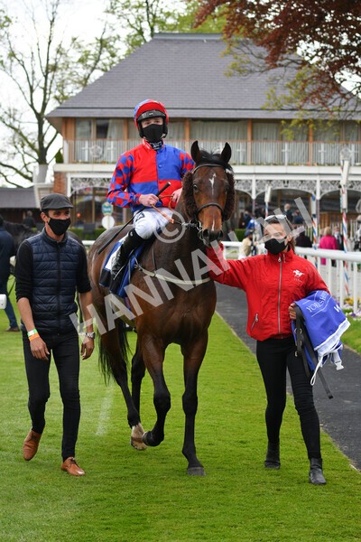 yr14052021r6-26 - Race 6 4.15pm Yorkshire Equine Practice Stakes