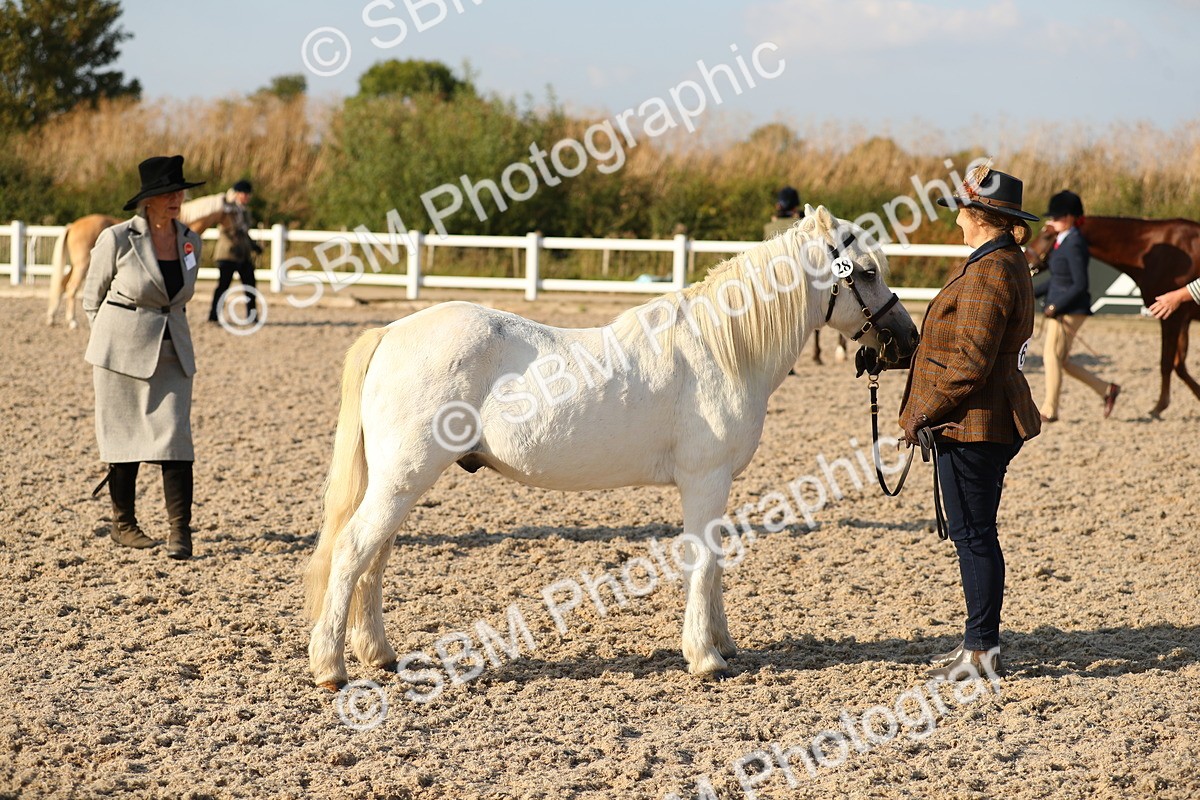 SBM_08963 - Class 29 IH Veteran Pony