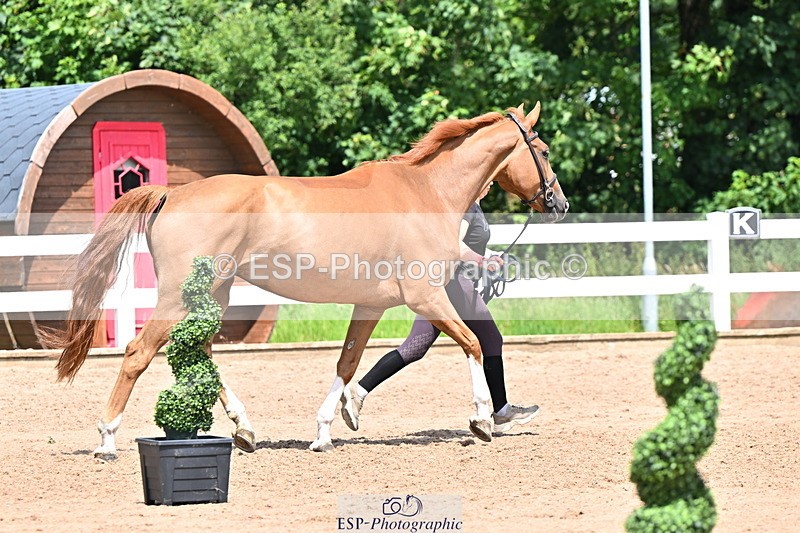 240718A-105318-01825 - Trot Up 1pm to 2pm