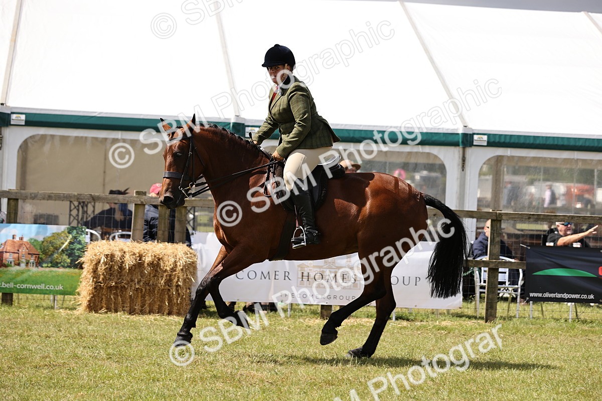 SBM_14535 - Class 88-89 - LIHS BSHA Rising Star of Ridden Hunter Type