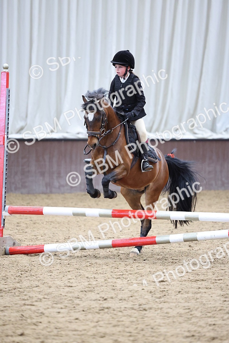 SBM_007758 - Class 3 - 60cm showjumping