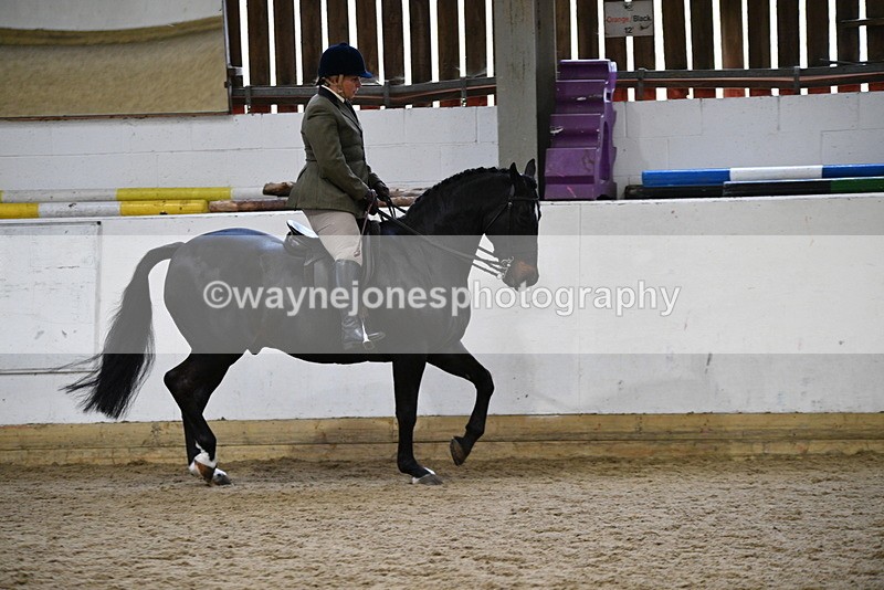 WJ5_7803 - Class 13 Ridden Part Breed