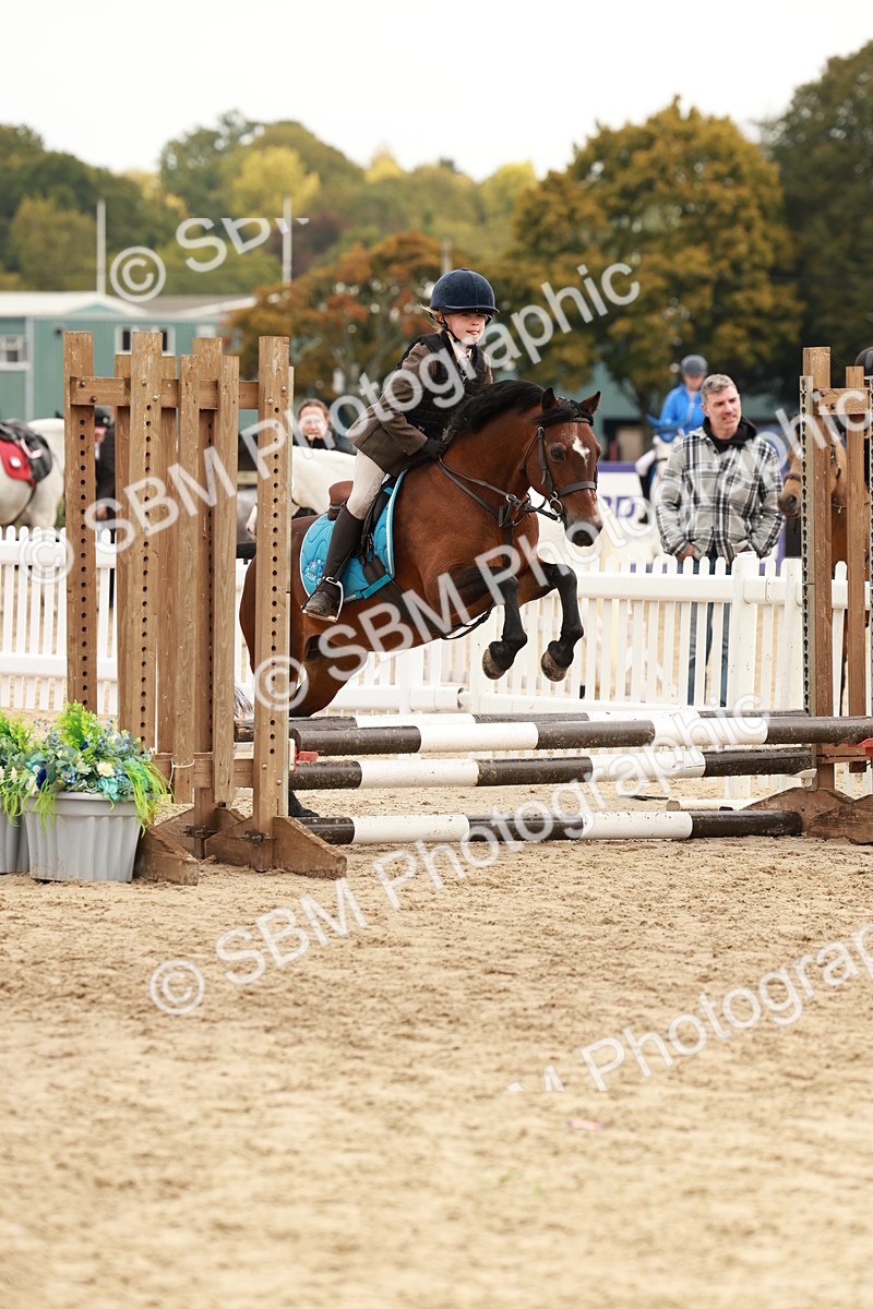 SBM_57730 - J11 - Junior Pony 50cm Championship
