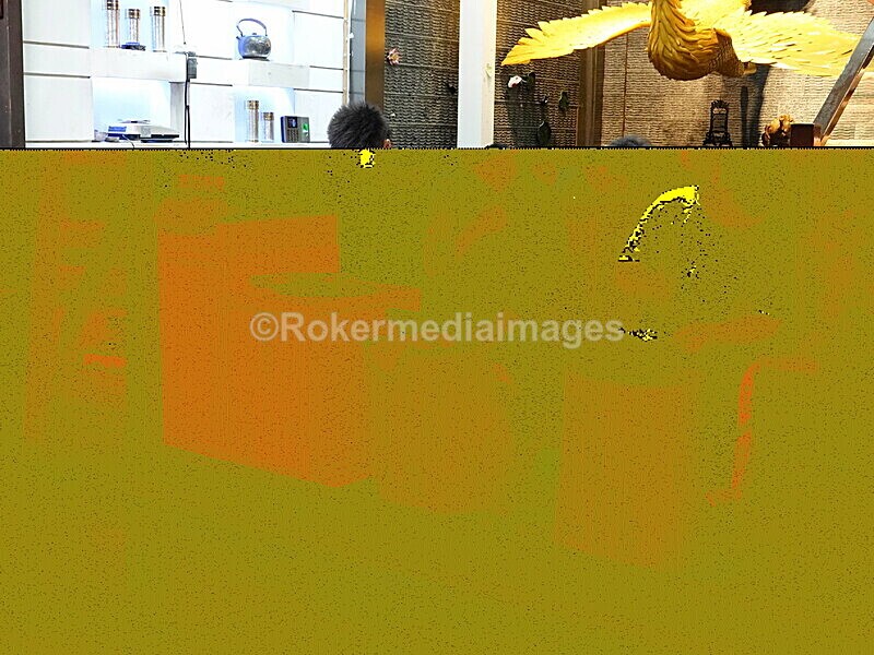 CHINA__0024 - China 2019