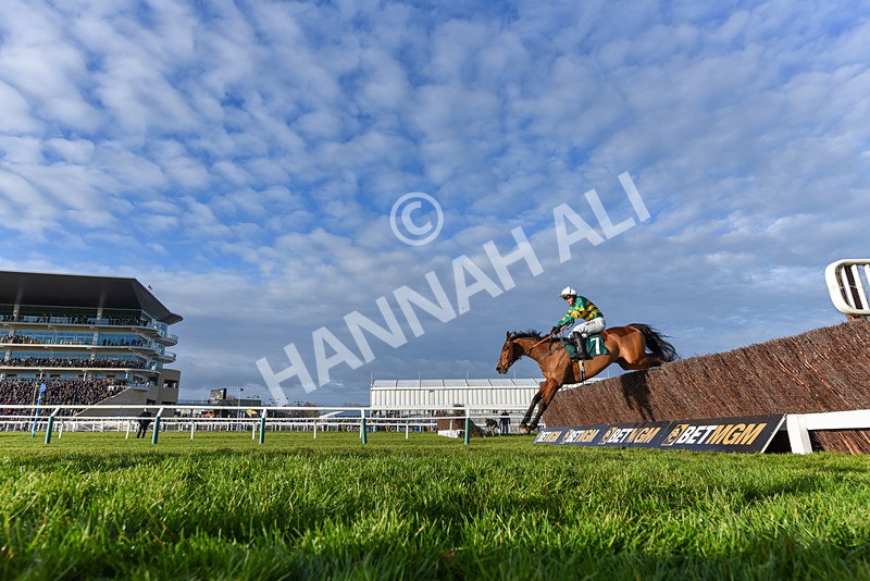 141224-Race 4-In Excelsis Deo-9427 - Race 4