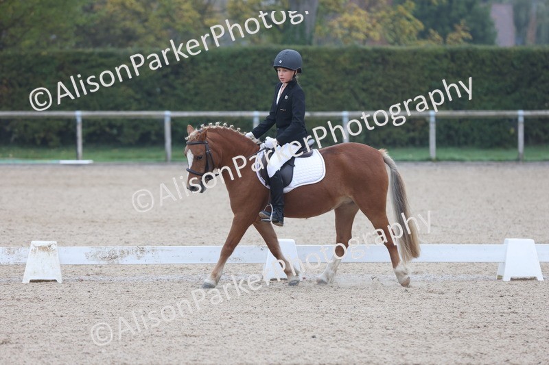 20251012-0078 - Class 1 - Prelim 5