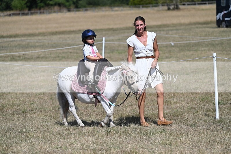 WJ7_1145 - Class 41 Prettiest Mare
