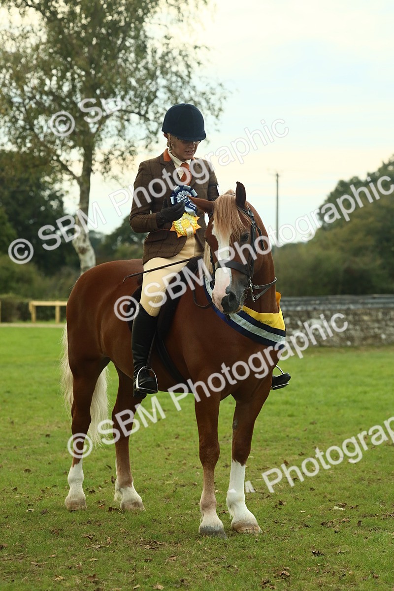 SBM_75297 - Super Supreme Championship