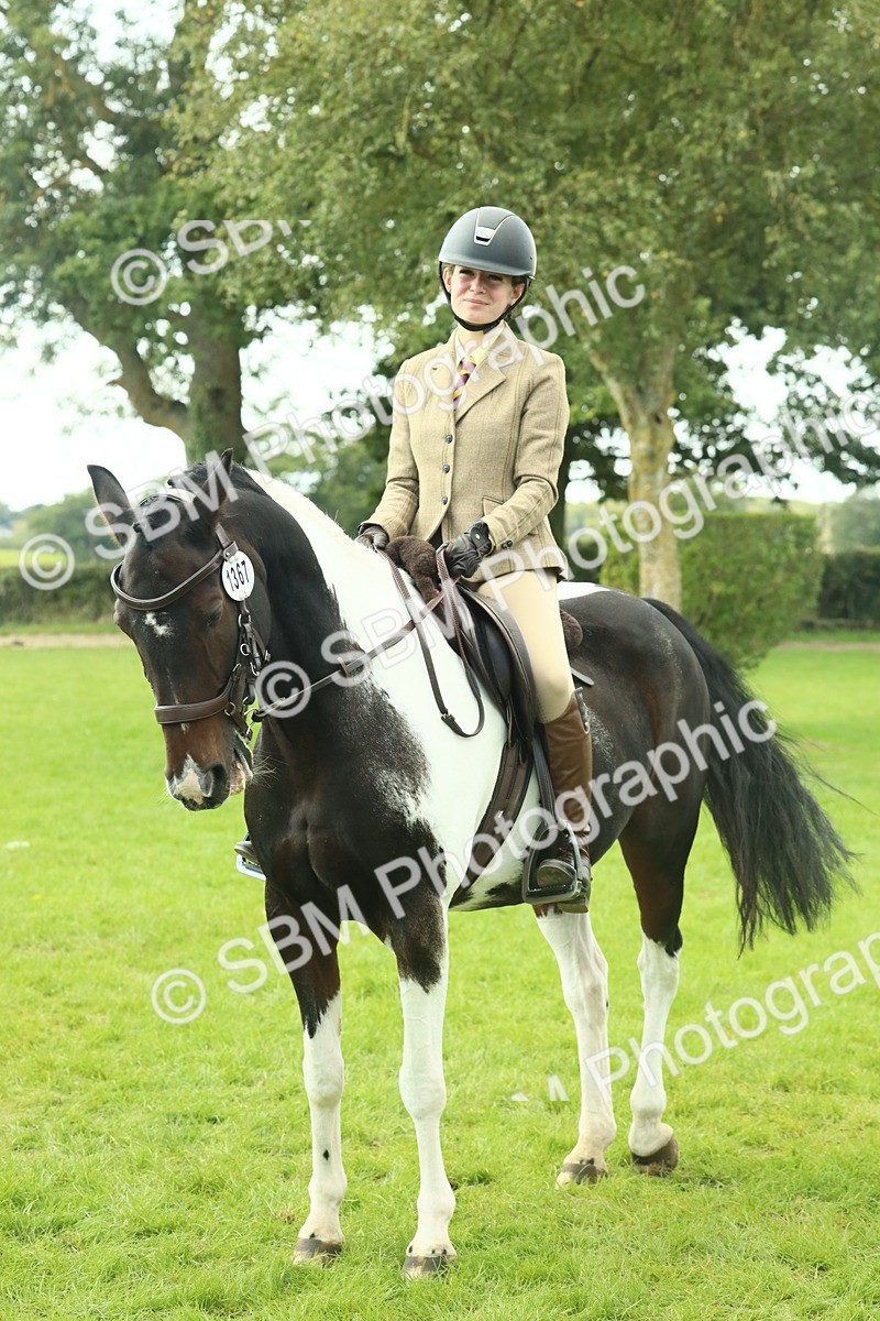 SBM_66452 - S34 - Rehabilitated Rescue Horse & Pony In Hand & Ridden