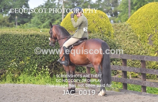 JAC_0019 - CLASS 3 Intermediate Working Hunter (0.70m - 0.85m)