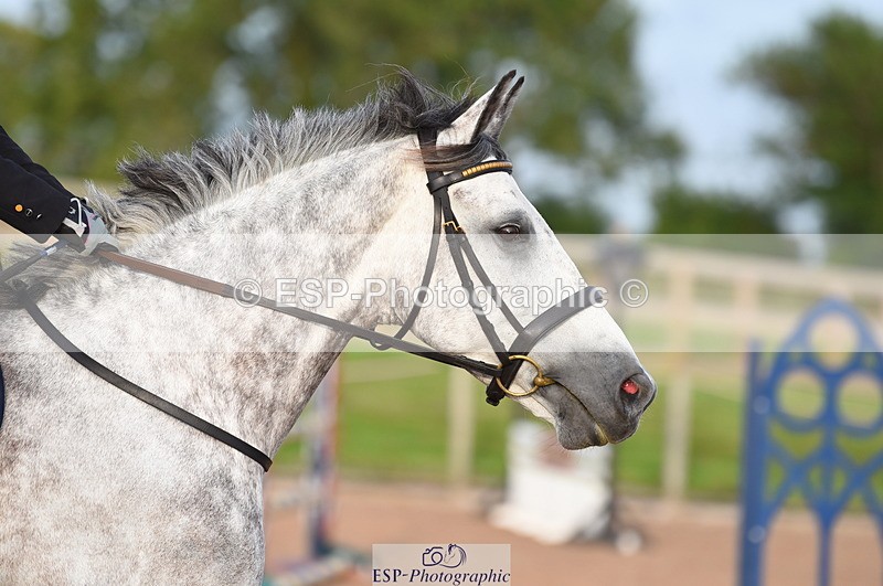 230711A-195016-00764 - 1m