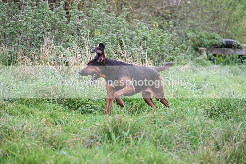 WJ7_8979 - Camera 1 only on this line