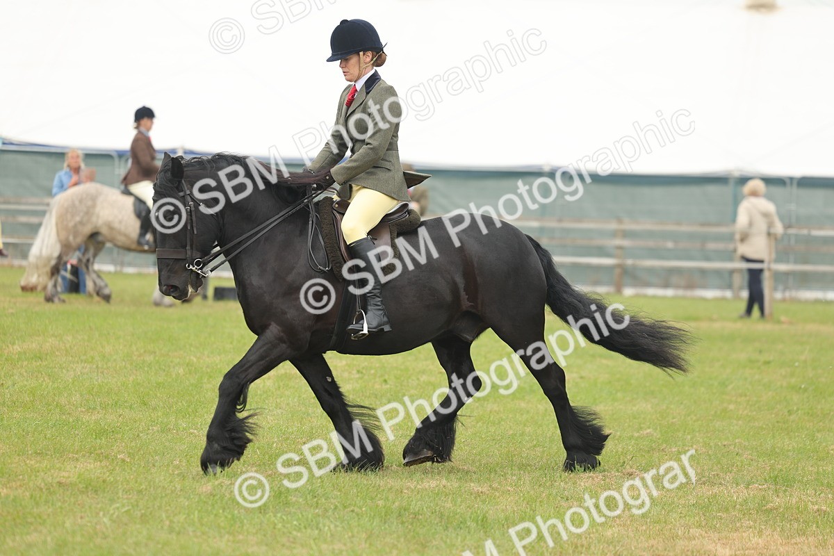 SBM_08963 - Class 78-80 - Ridden M&M Non Welsh Ponies