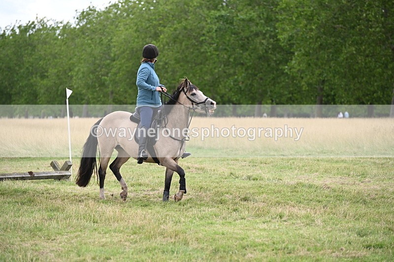 WJ6_4734 - Time at Jump 13:04 to 13:34