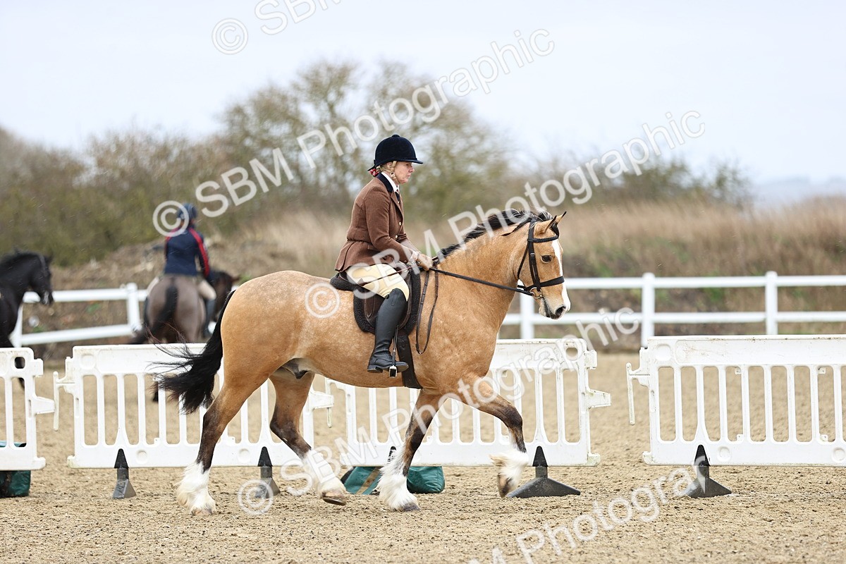 SBM_007498 - Class 31-32 - M&M Confined Novice Small-Large