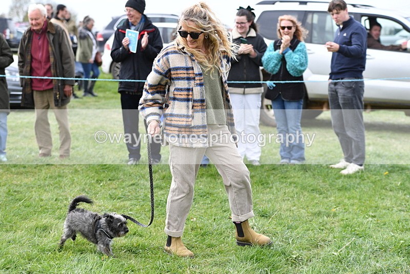 WJ5_9420 - Class 1 Best Cross Breed / Heniz 57