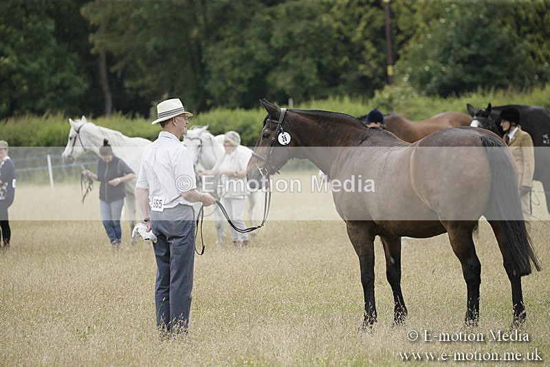 B230619-0528 - Bourne Valley Riding Club Summer Show 23/06/19