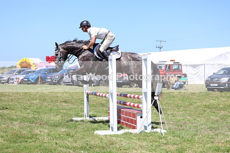3E7A5451 - Class 9: Senior British Novice/90cm open