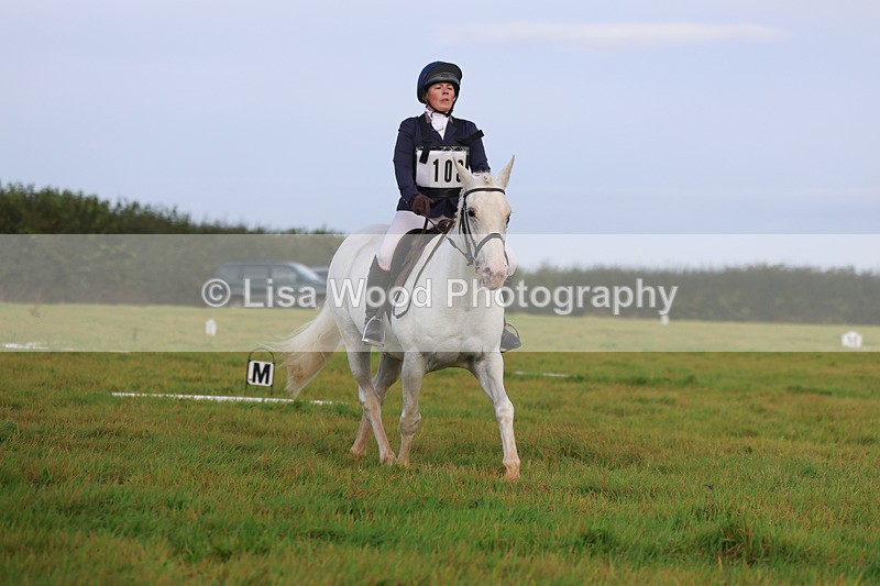 3E7A5113 - Class 1: Trebudannon Open: Dressage