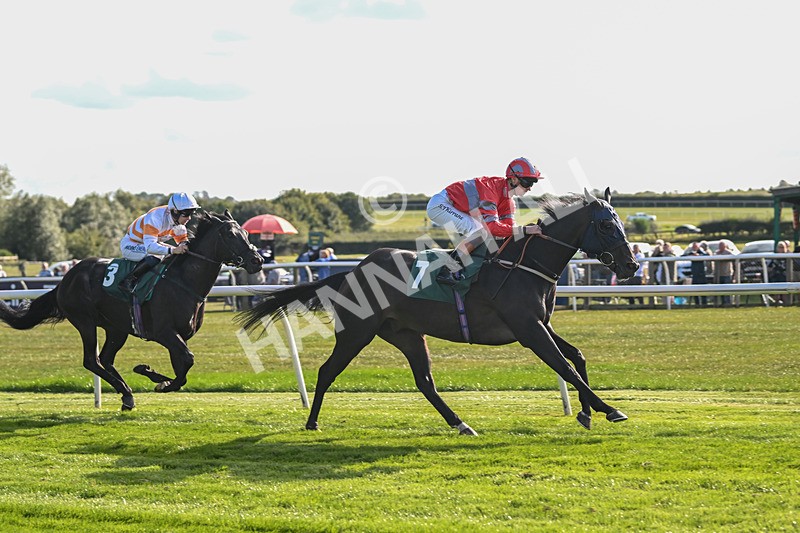 090925-Race 5-Dream Deal-9231 - Race 5