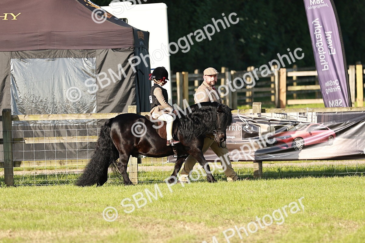 SBM_10987 - Class 106-107 - BSPS LIHS Working Sports Pony