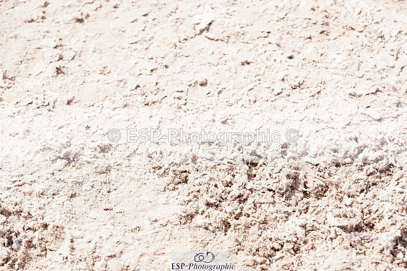 250425-132828-10012 - Cls 34 Young Horse 7yr old