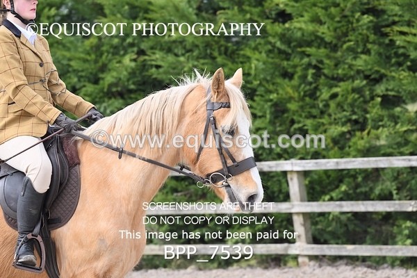 BPP_7539 - RING 1  (RIDDEN HORSES / IN HAND / VETERAN ETC)