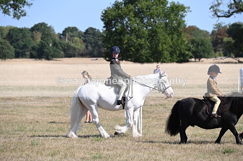 WJ6_7396 - Class 34 Judges Choice