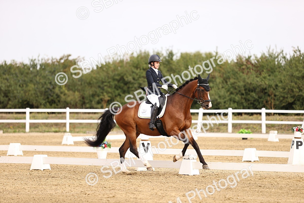 SBM_011676 - Class 1 - Medium 5