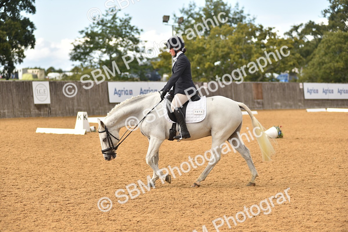 SBM_11370 - D15 - Small Tour Championship Novice 1