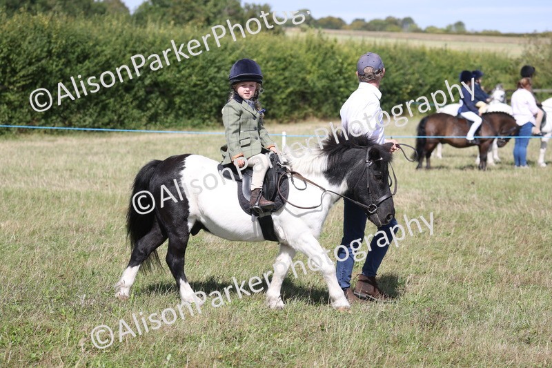 20260906-2756 - Class 25 - Absolute Beginners Pony