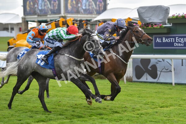 yr11062021r6-37 - Race 6 4.35pm Irish Thoroughbred Marketing Stakes