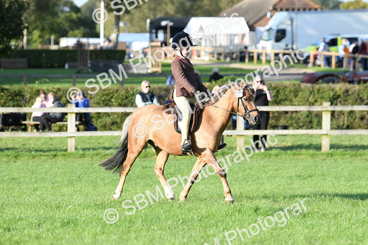 SBM_54092 - S23 - 1st Ridden Mountain & Moorland Pony