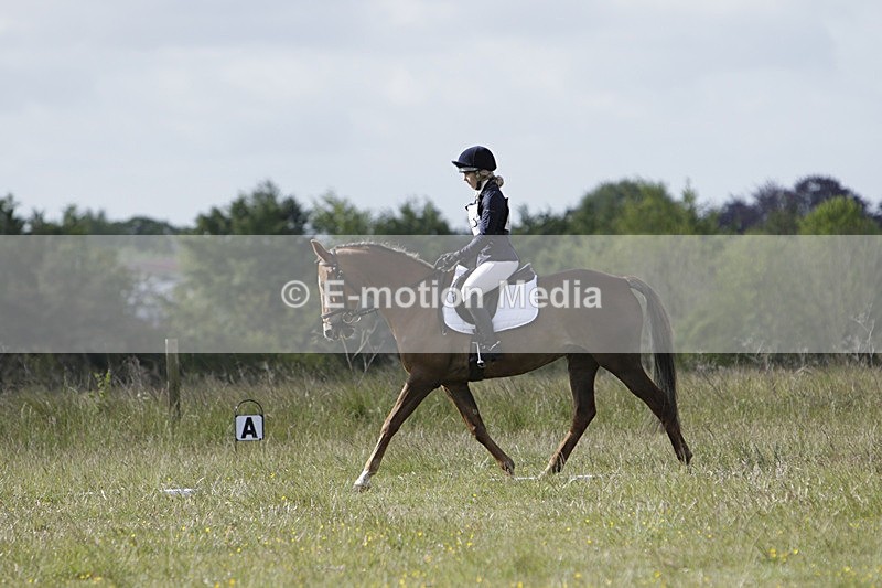 BVHT 140517 -95 - Class 1 DR Intermediate 14/05/17