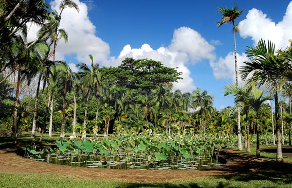  - Mauritius