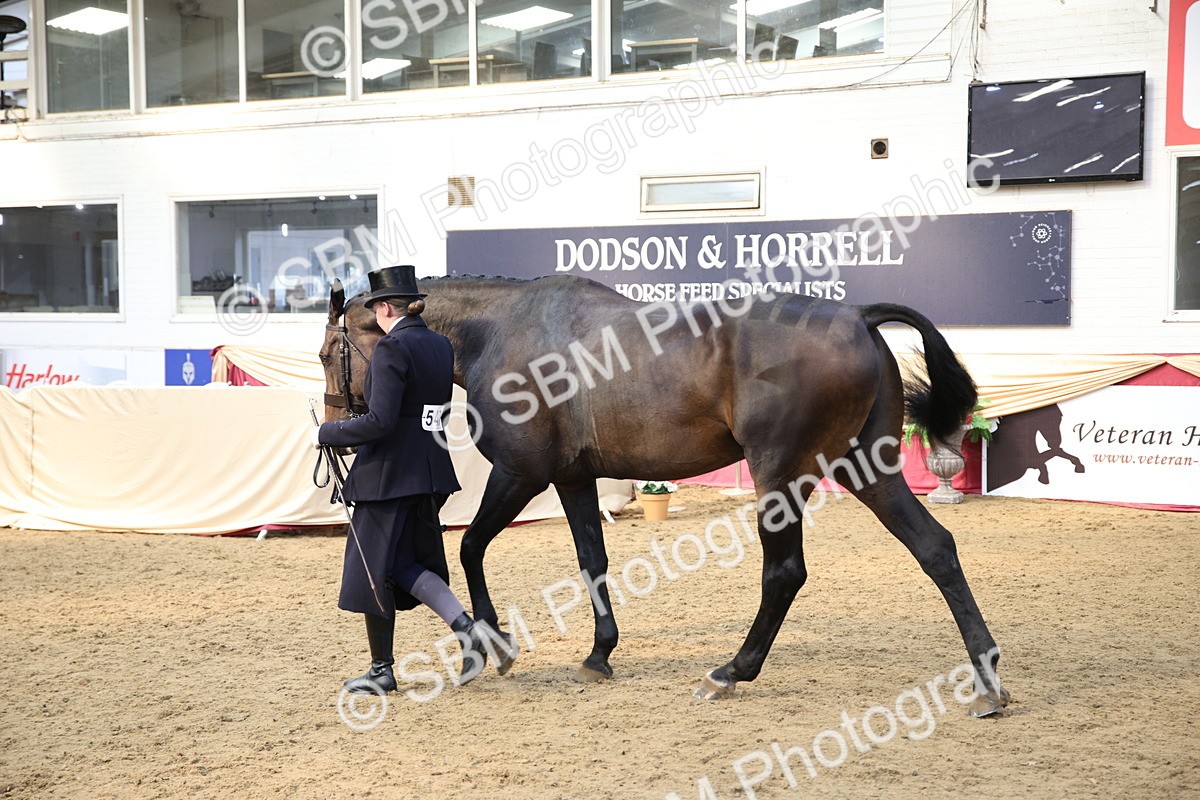 SBM_24762 - Class 906 - Supreme Final - Ridden Pre Vet