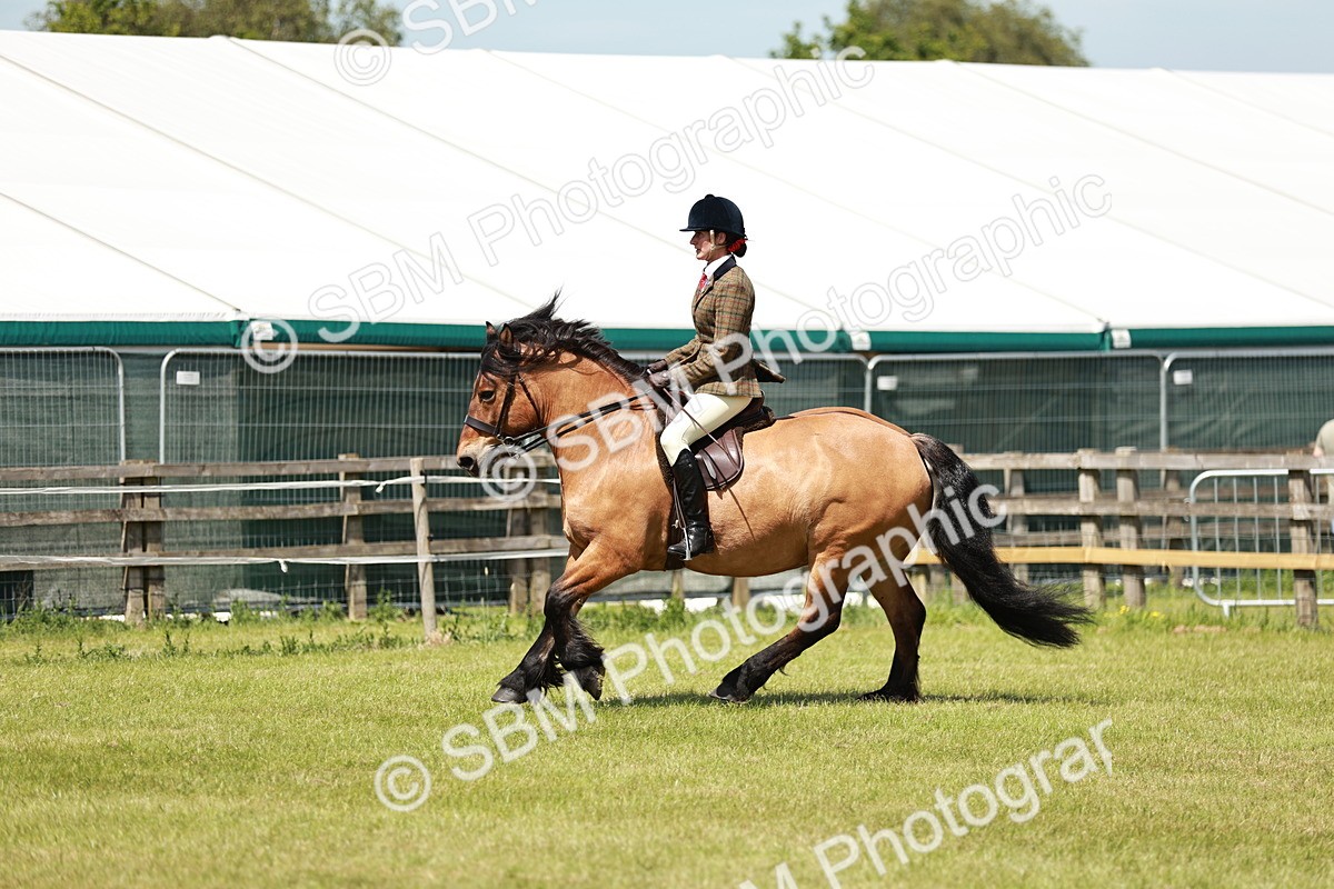 SBM_07072 - Class 26-30 - Mountain and Moorland Ridden