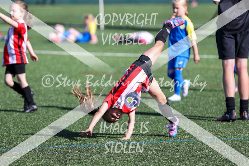 1DX34040 - Sat 13th U7 & U8 Girls