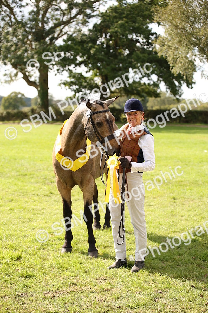 SBM_46418 - S25 - Mature Veteran In Hand