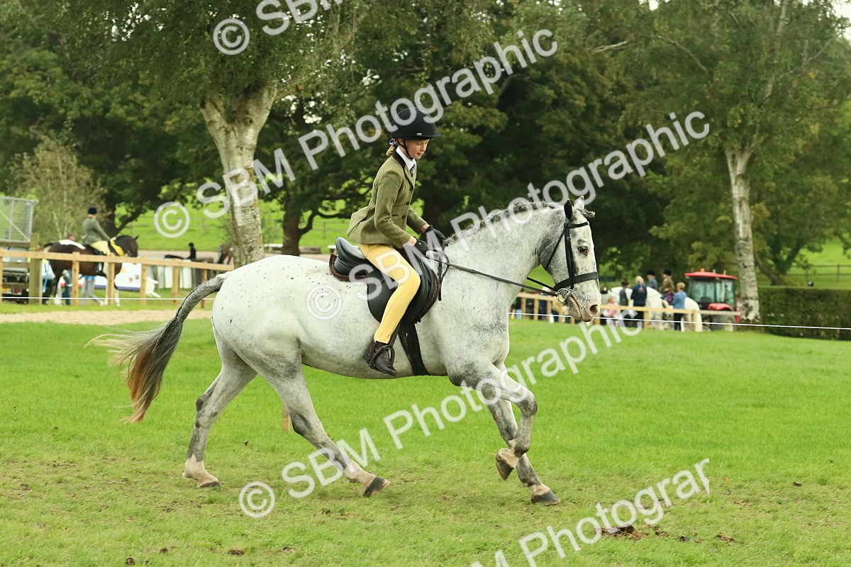 SBM_74065 - S 61 - Show Pony & Show Hunter Pony Ridden